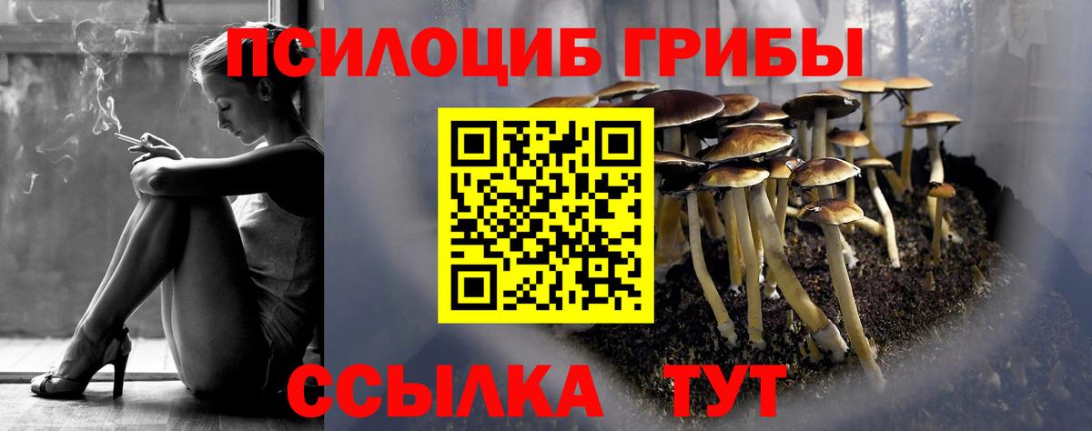 Псилоцибиновые грибы прущие грибы Костомукша
